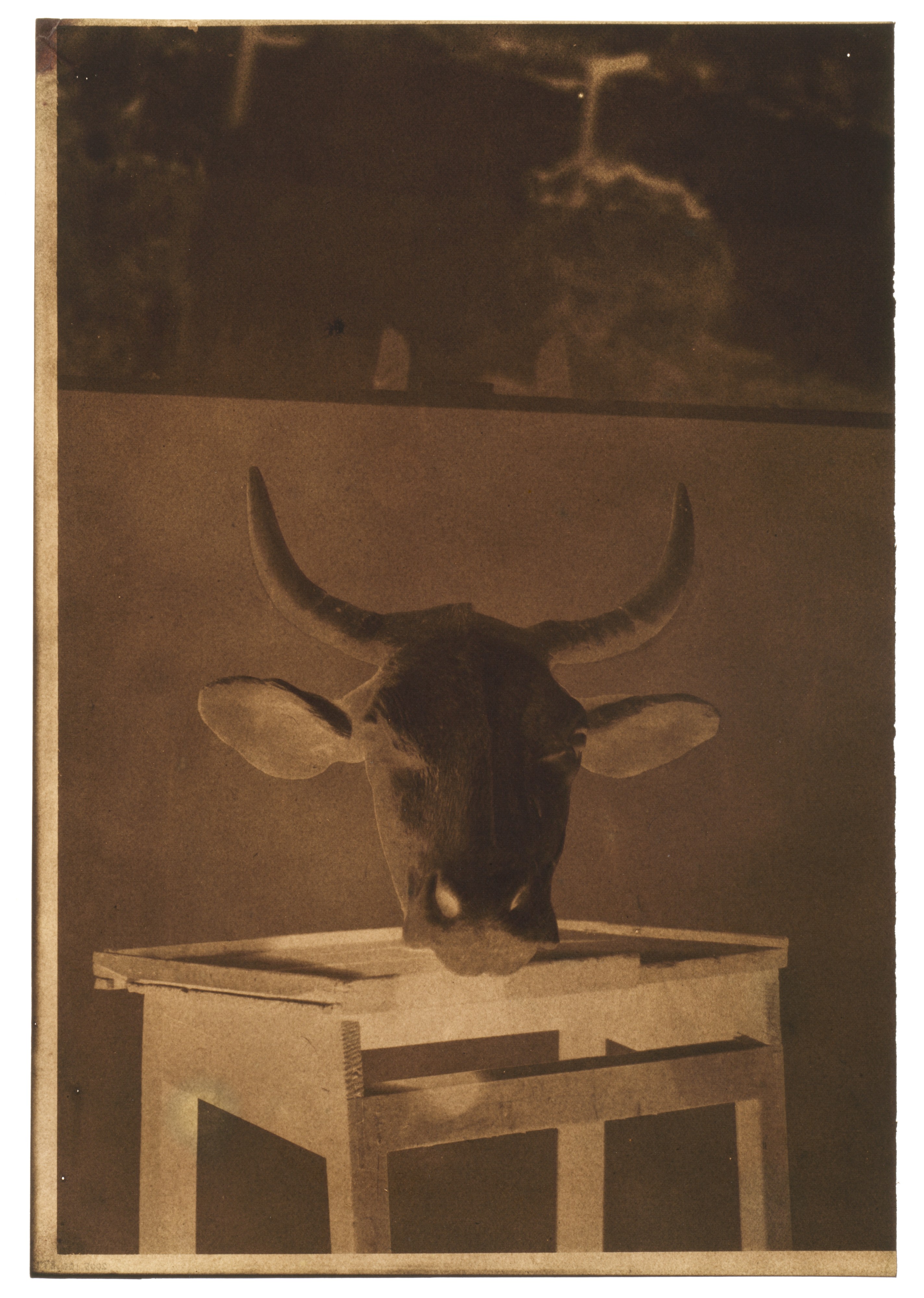 Still Life 02 (Print)