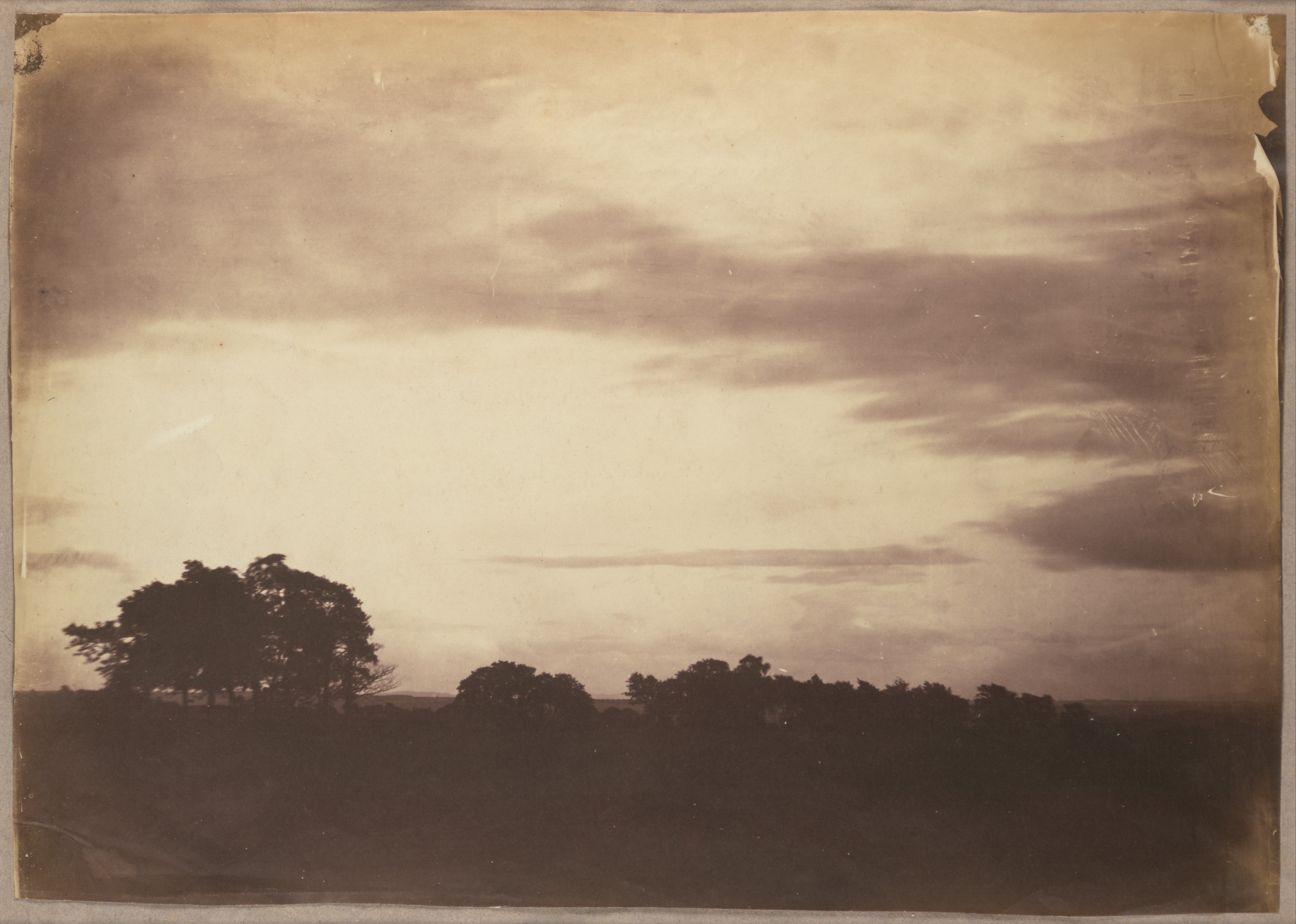 Field Study 01 (Print)