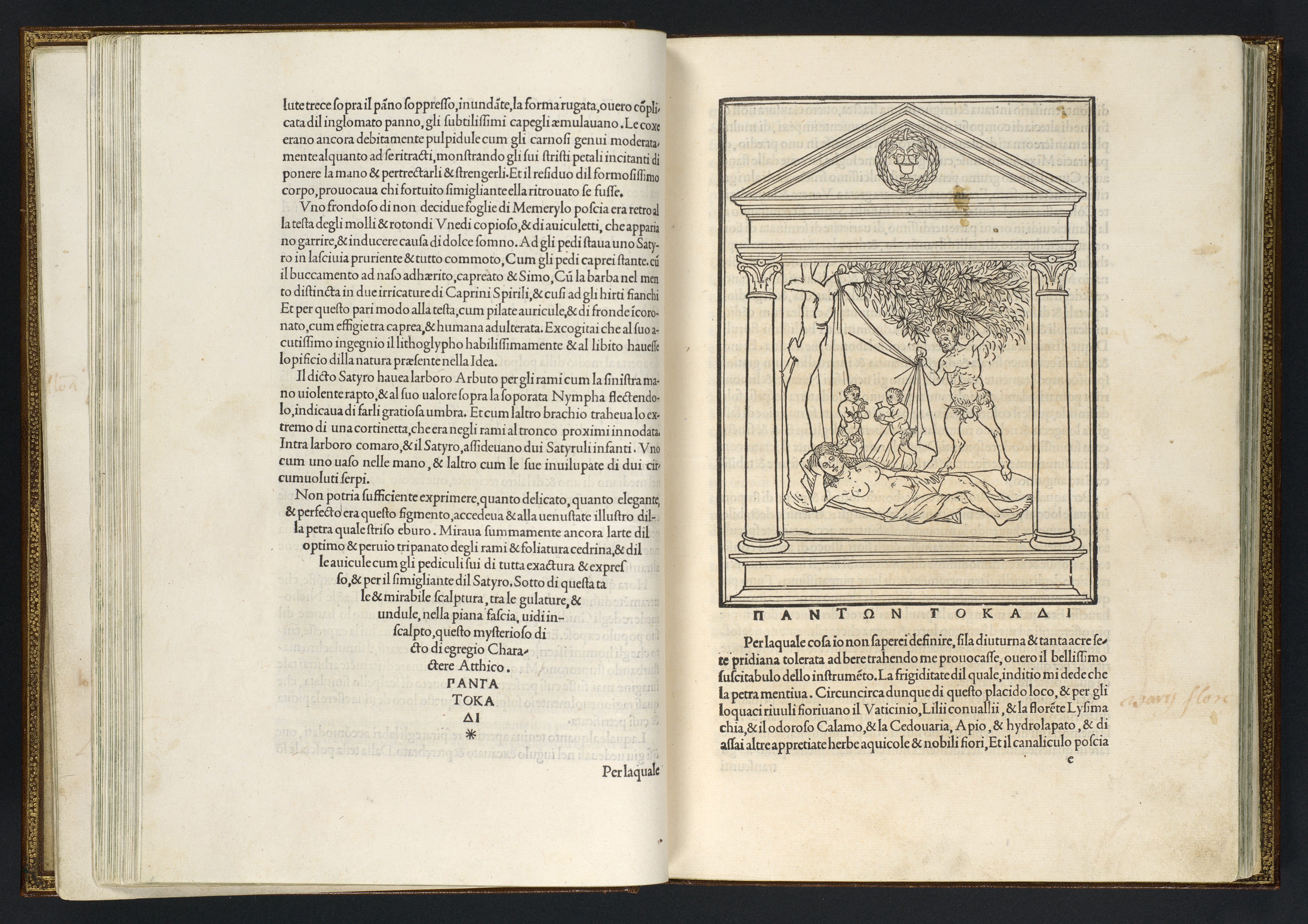 The Marginalia Reader
